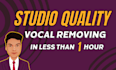 remove vocals or instruments from any link