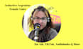 bring your projects to life with seductive voiceovers