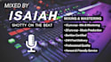 mix your song of any genre in 24hrs 30 stems