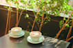 record coffee jazz, lounge jazz or bossa nova acoustically