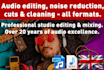 professionally edit, clean, and enhance your audio files