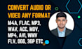 convert your audio or video files into any desired format
