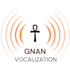 provide excellence in professional voice work