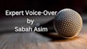 expert voice over and content writer