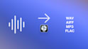 convert any professionell audio format you need