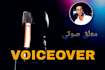 create a professional, highquality voiceover for you