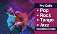 design soulful custom cello and record them for your music