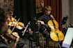 record high quality cello parts for you