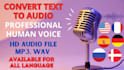 turn any text into audio with quality voice