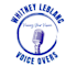 provide quality voice over services