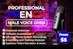 be the professional male french voice over for your projects