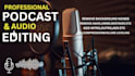 do professional audio editing and noise reduction