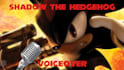 voice your message as shadow the hedgehog