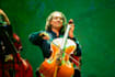 arrange and record the cello tracks to make your song wonderful