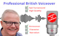 record a professional english character voice over for less
