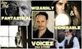 provide your wizardly venerable male voice over