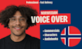 provide norwegian voice over for your project