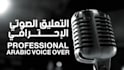 provide arabic voice over for your youtube channel