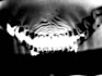 create horror music for your project