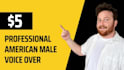 professionally voice over any project