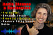 pro audio cleanup, background noise removal, vocal enhancements