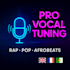 tune, enhance, and process your vocals like a pro