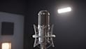 do best male female voice over in hindi punjabi nepali in 1 day