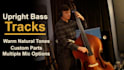 record upright bass or double bass on your song