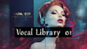 send you my vowel library