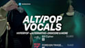 feature on your hyperpop or alternative song
