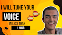fix your voice and mix it in less than 24 hours