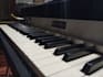 teach you how to play the piano
