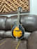 record a mandolin for your song with a professional sound