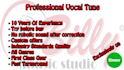 professionally tune your vocal