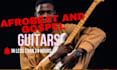 record astounding live guitars on all genres for your song