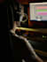 create serum or vital presets for you