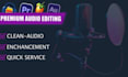 professionally clean your audio and remove background noise