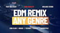 remix your song to edm and techno in 24 hours