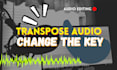 expert key change and transpose audio