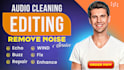 remove background noise, hiss, echo, music make audio crystal clear