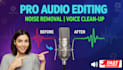 professional audio editing noise removal voice clean up