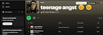 make a spotify playlist based on you requirements