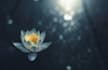 do tranquil soundscapes for meditation