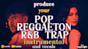 make a custom pop, reaggueton, rnb beat and more