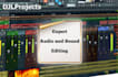 expertly edit and enhance your audio in any way you need