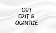 professionally cut and edit quantizing your audio tracks