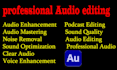 noise remove, editing, repair, enhance, mix, convert clean up, your audio