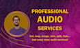 edit your audio with care and precision