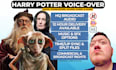 be your magical harry potter voice character