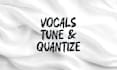 professionally tune your vocal track